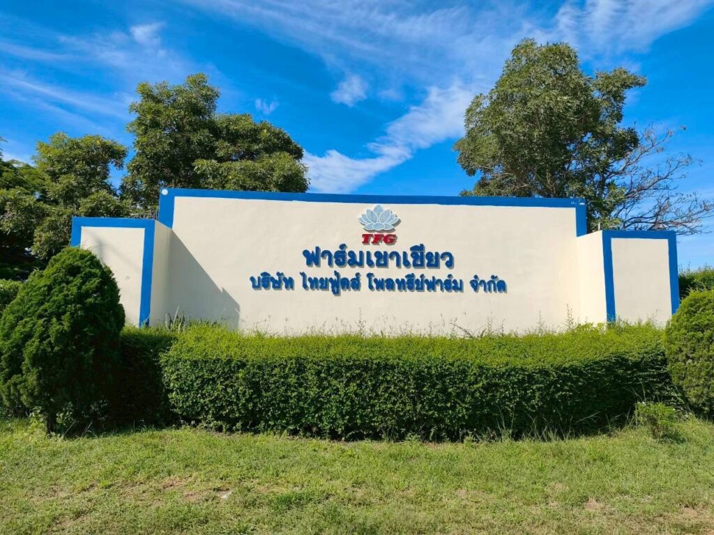 ตรวจสอบไฟฟ้าประจำปี กาญจนบุรี 2 560057085 122170109324397971 634418910969622707 n