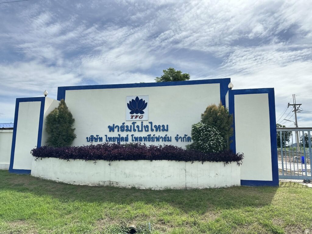 ตรวจไฟฟ้าโรงงาน