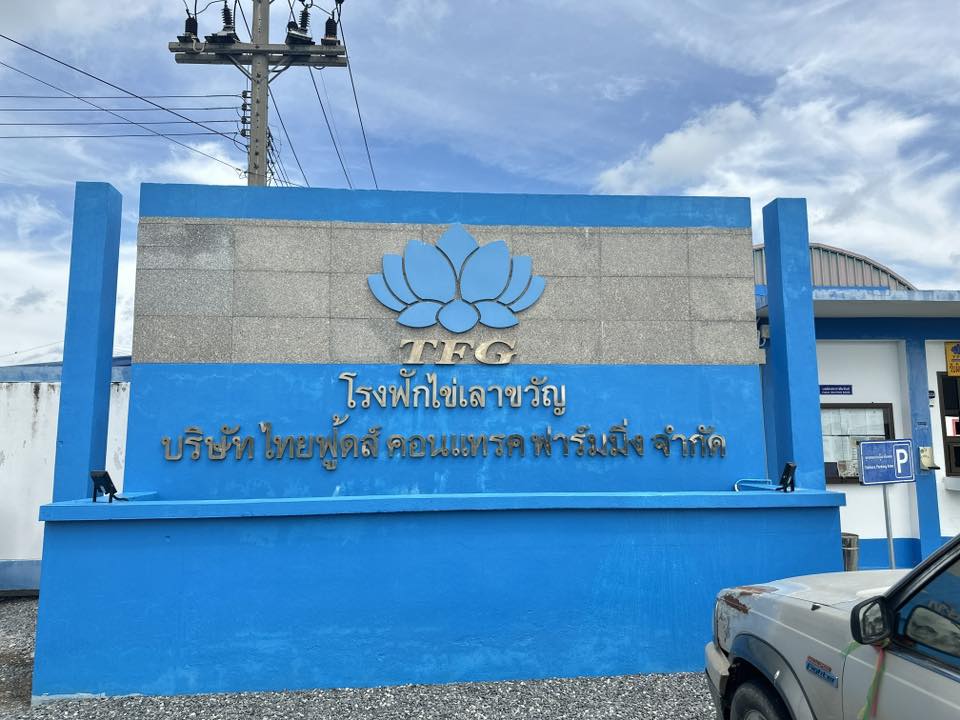 ตรวจสอบรับไฟฟ้าประจำปี ตรวจสอบระบบไฟฟ้าโรงงาน 25 ตรวจสอบระบบไฟฟ้า โรงงาน